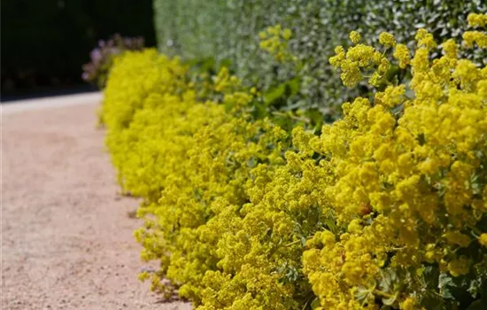 Blackbox-Gardening – die kreative Idee mit den großen Überraschungseffekten Blackbox-Gardening – die kreative Idee mit den großen Überraschungseffekten