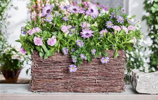 Frühling, Sommer, Herbst, Winter: der Balkon ist immer ein schöner Anblick Frühling, Sommer, Herbst, Winter: der Balkon ist immer ein schöner Anblick