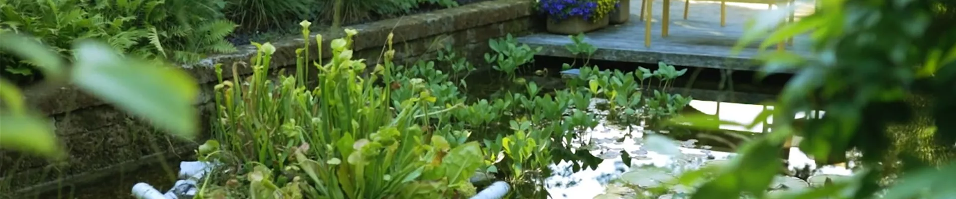 Gartengestaltung- Waldgarten (Thumbnail).jpg Gartengestaltung- Waldgarten (Thumbnail).jpg